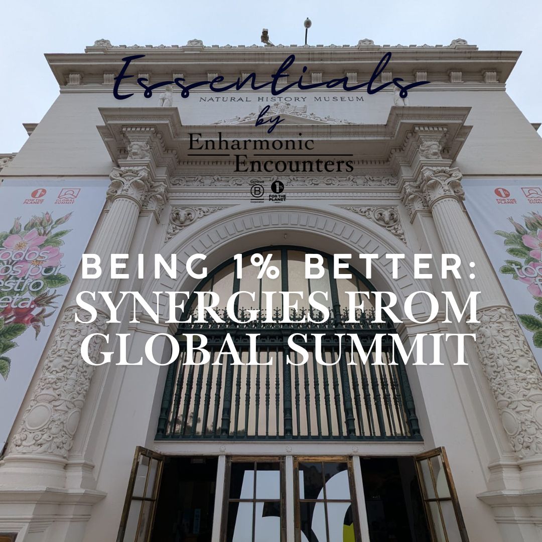 Image artwork of the blog article on reflections from the 1% for the Planet Global Summit.